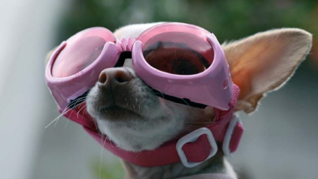 pink.jpg