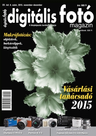 DFM_2015_06_cimlap.jpg