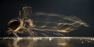 Canon – Az Év Természetfotósa 2015