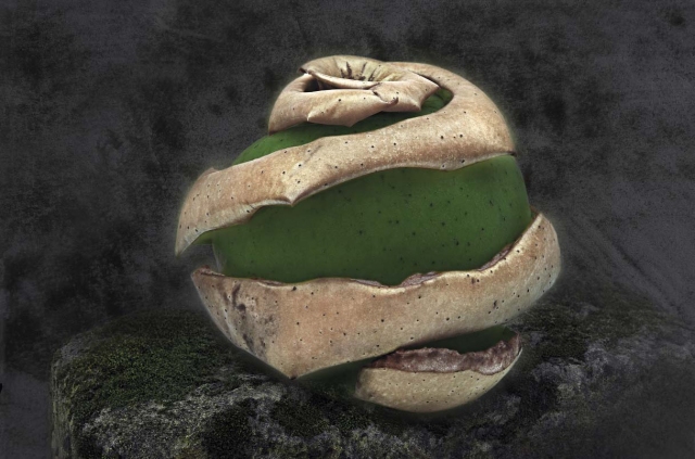 e-katalogus_tihany.jpg