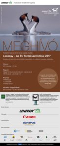 Lenergy – Az Év Természetfotósa 2017