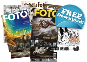 Több, mint 100 ingyenesen letölthető cikk