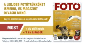 Egy évet ajándékba adunk!