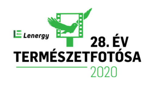 Kiírták a “Lenergy – Az év természetfotósa 2020” pályázatot!