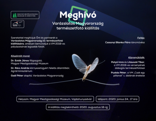 Varázslatos természetfotókkal nyílik a Varázslatos Magyarország kiállítás