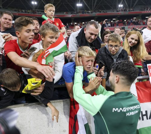 Az Ezüstgerely Pályázat győztes fotói