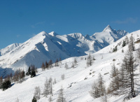 MX1_8476_m2.jpg