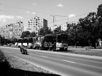 _P2050375.JPG