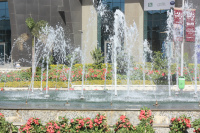IMG_7289.JPG