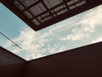 356AD467-A33D-4E2B-A69B-3E15FF2B7714.jpeg