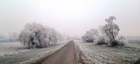 DUNAPART 017.jpg