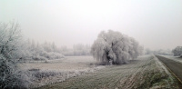 DUNAPART 016.jpg