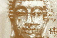 214.jpg