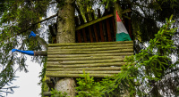 DSC_2560.JPG