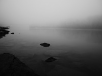 P1730615_dfm.jpg