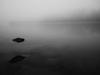 P1730634_dfm.jpg