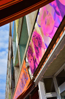 DSC_6819.jpg