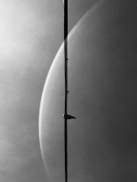 88DA331A-106C-4FE3-8E65-6A31131C376C.jpeg