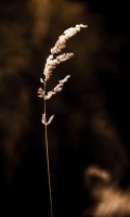 PSX_20201016_215505.jpg