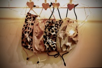 IMG-1970.jpg