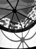 33DE430A-F0E7-4CBA-9B6F-3E526EC3180B.jpeg