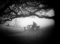 DSC_5228-02.jpeg