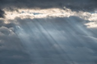 NAT_5039.jpg