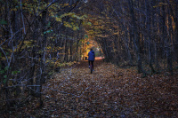 DSC_1150-01.jpeg