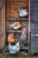 DSC_2895-02.jpeg