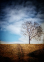 IMG_20220126_121007-01.jpeg