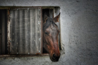 DSC_5401-02.jpeg