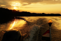_IMG5080+.jpg