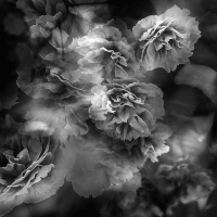 IMG_2512_3 másolat 2.jpg