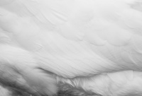 84E5D3BC-7D59-4C79-99B6-4DBF1A2B3D25.jpeg