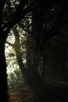 IMG_2088.jpeg