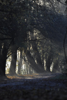 IMG_2087.jpeg