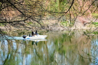 Mirrors of Water.jpg