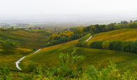Villány - Ördögárok.jpg