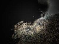 IMG_1317.jpeg