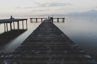 8D9A7919dfm.jpg