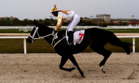 Galopp (bal).jpg