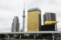DSC08434.JPG