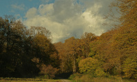 IMGP8950.JPG