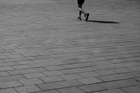 IMG_6797.jpeg