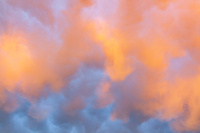 3_MG_9335.jpg