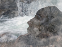 Cim-nelkul_Bihar_2025.jpg