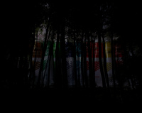 IMG_9910m.jpg