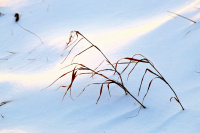 DSCF3750.JPG