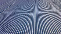 DSC_0198_m2.jpg